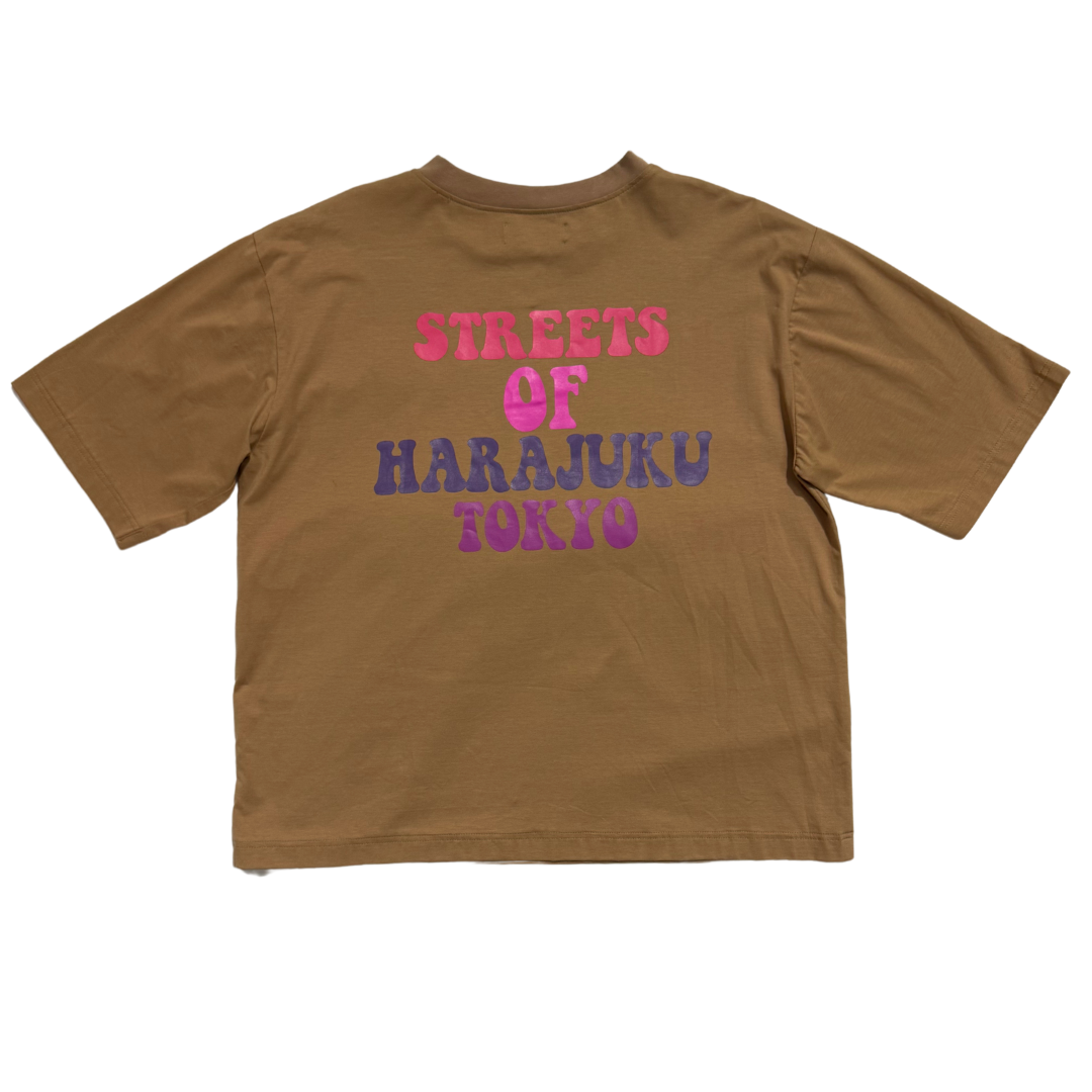 Embroidery Japan Oversized T-Shirt