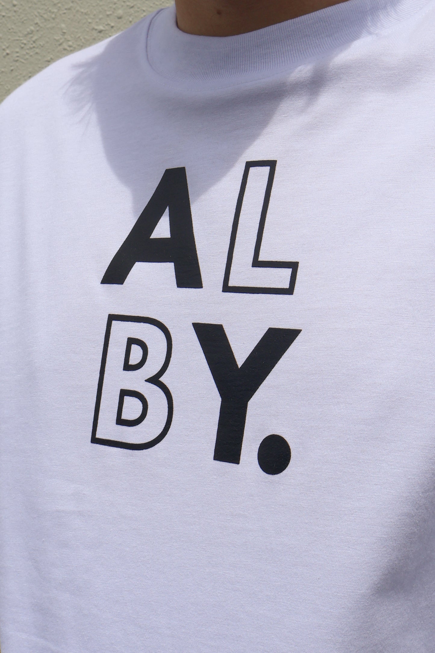 Logo Oversized T-Shirt (Alby)